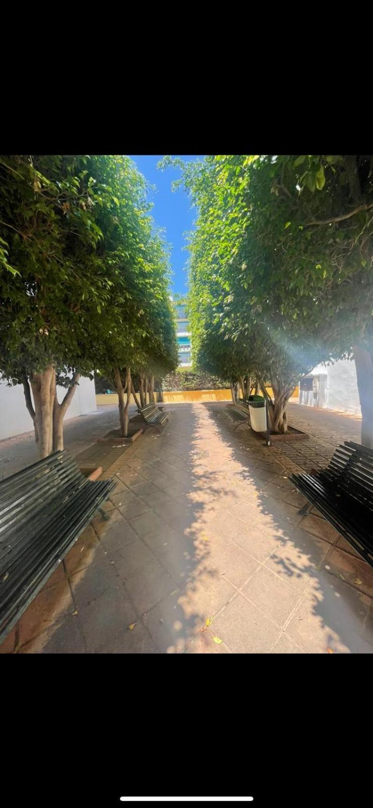 Apartamento Jardines Del Rocio トレ・デル・マール エクステリア 写真